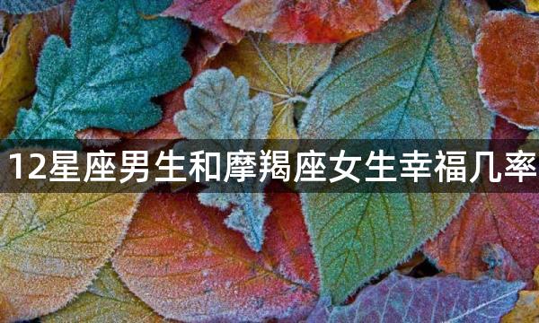 12星座男生和摩羯座女生幸福几率