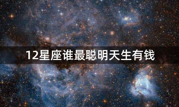 12星座谁最聪明天生有钱