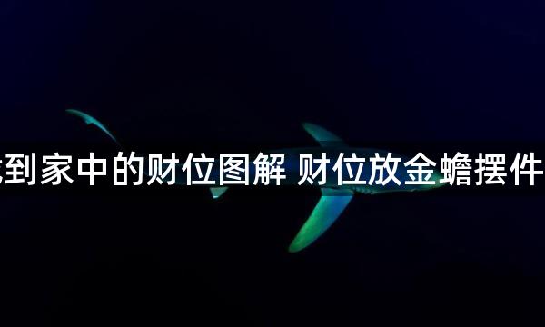 如何找到家中的财位图解 财位放金蟾摆件更招财