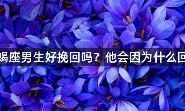 天蝎座男生好挽回吗？他会因为什么回头