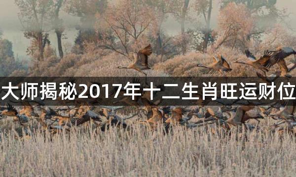 大师揭秘2017年十二生肖旺运财位