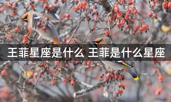 王菲星座是什么 王菲是什么星座