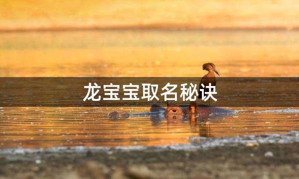 龙宝宝取名秘诀