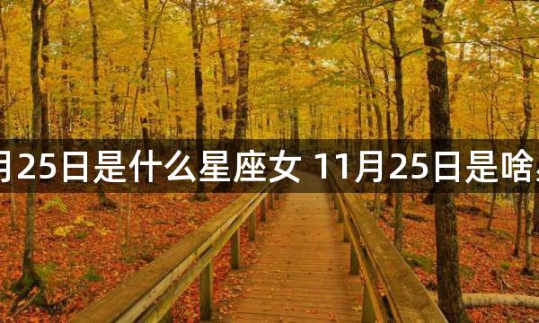 11月25日是什么星座女 11月25日是啥星座