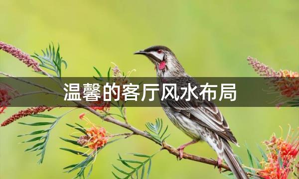 温馨的客厅风水布局