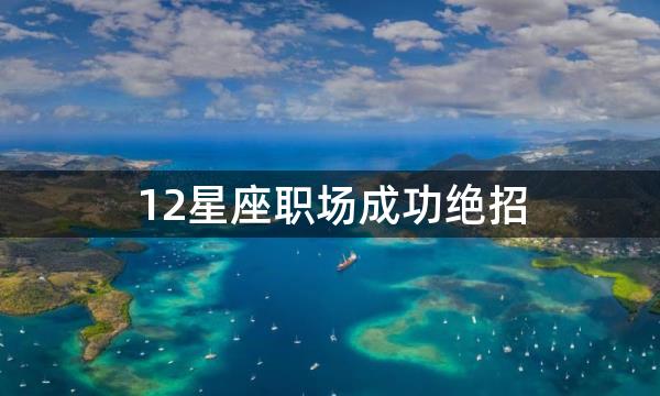 12星座职场成功绝招