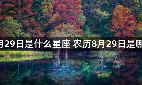 阴历8月29日是什么星座 农历8月29日是哪个星座