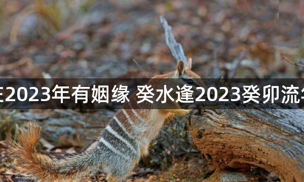 癸水在2023年有姻缘 癸水逢2023癸卯流年大运