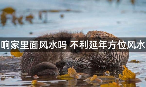 小三影响家里面风水吗 不利延年方位风水与姻缘