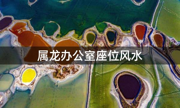 属龙办公室座位风水