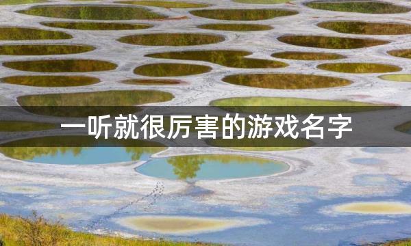 一听就很厉害的游戏名字