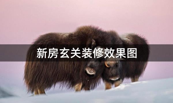 新房玄关装修效果图