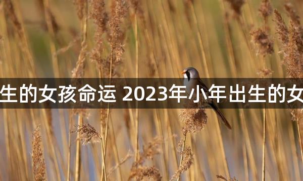 小年出生的女孩命运 2023年小年出生的女孩好吗