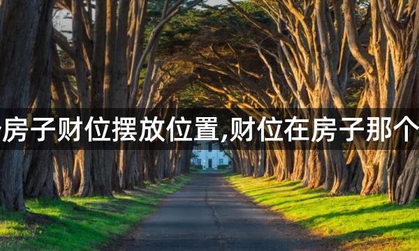 一个房子财位摆放位置,财位在房子那个位置