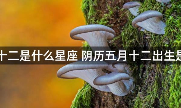 阴历五月十二是什么星座 阴历五月十二出生是哪个星座