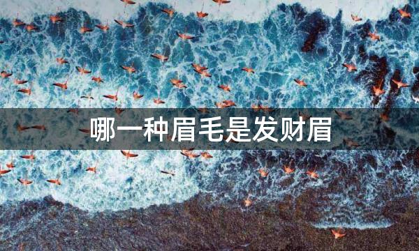 哪一种眉毛是发财眉