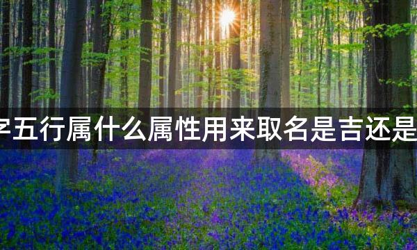 瑧字五行属什么属性用来取名是吉还是凶？