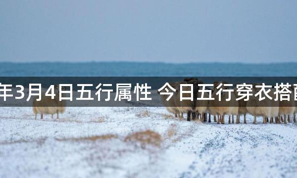 2023年3月4日五行属性 今日五行穿衣搭配查询