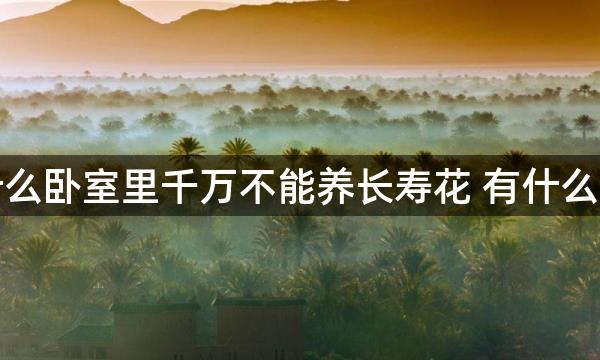 为什么卧室里千万不能养长寿花 有什么禁忌