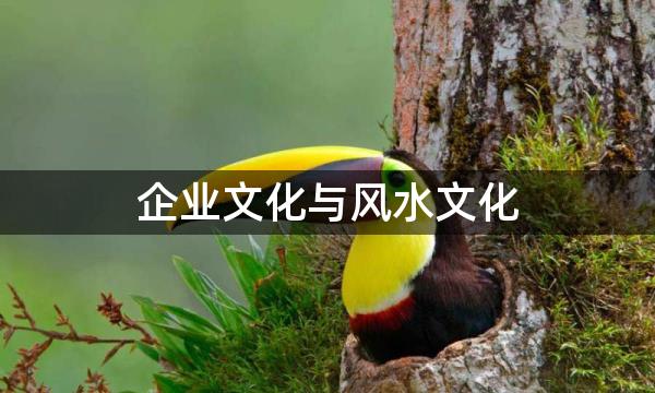 企业文化与风水文化