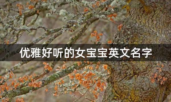 优雅好听的女宝宝英文名字