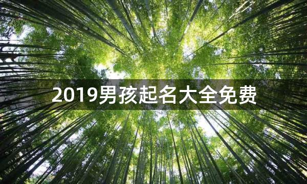 2019男孩起名大全免费