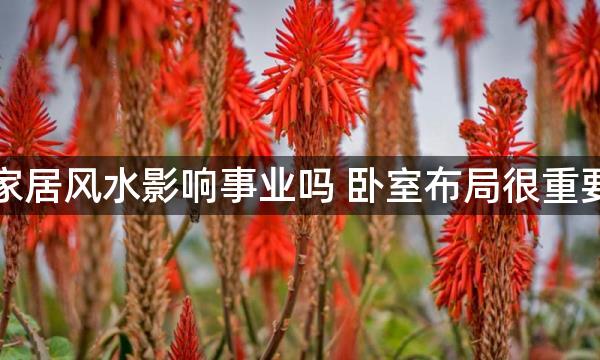 家居风水影响事业吗 卧室布局很重要