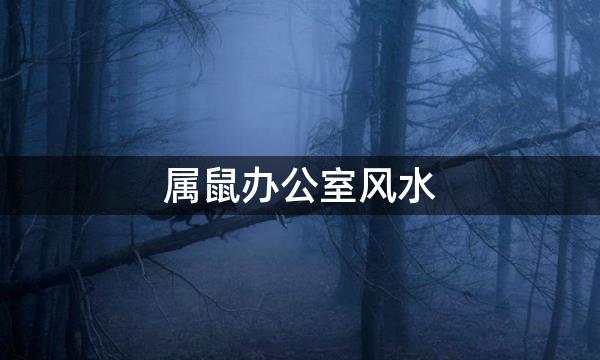 属鼠办公室风水