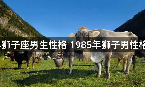 1985年狮子座男生性格 1985年狮子男性格怎么样