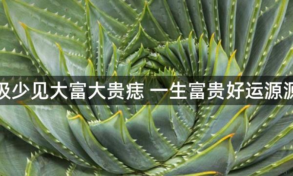 男人极少见大富大贵痣 一生富贵好运源源不断