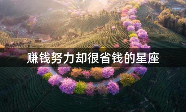 赚钱努力却很省钱的星座