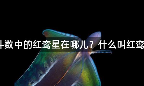 紫微斗数中的红鸾星在哪儿？什么叫红鸾星动？