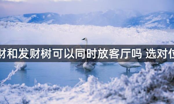 八方来财和发财树可以同时放客厅吗 选对位置为宜