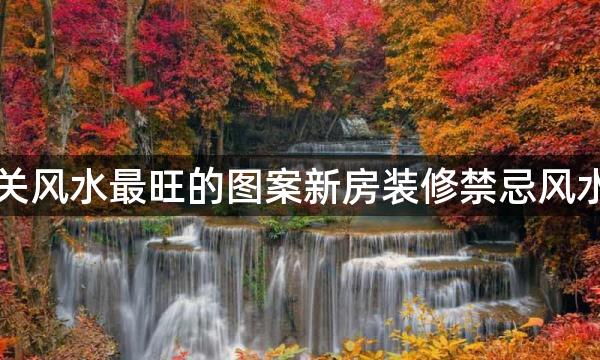 玄关风水最旺的图案新房装修禁忌风水学