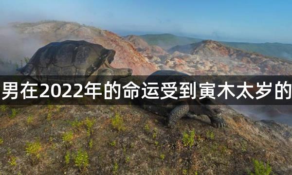 属蛇男在2022年的命运受到寅木太岁的影响