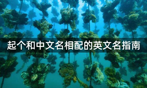 起个和中文名相配的英文名指南