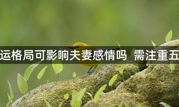 房屋气运格局可影响夫妻感情吗  需注重五行相合