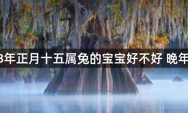 2023年正月十五属兔的宝宝好不好 晚年荣富