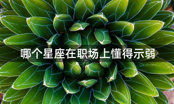 哪个星座在职场上懂得示弱