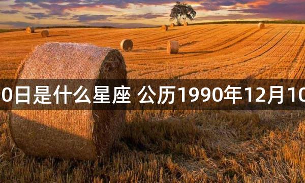 1990年12月10日是什么星座 公历1990年12月10日对应的星座