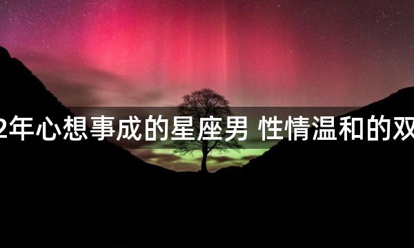 2022年心想事成的星座男 性情温和的双鱼座