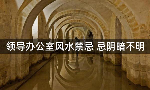 领导办公室风水禁忌 忌阴暗不明