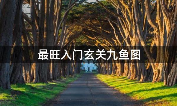 最旺入门玄关九鱼图