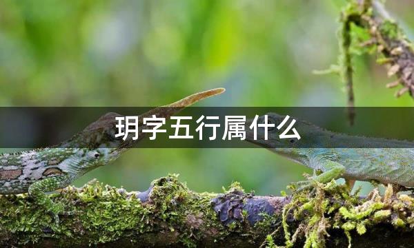 玥字五行属什么，玥字的含义是什么，玥字取名的寓意（男孩，女孩）