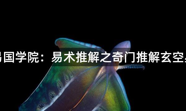 周易国学院：易术推解之奇门推解玄空星法