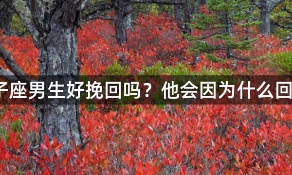 双子座男生好挽回吗？他会因为什么回头？