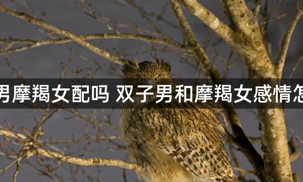 双子男摩羯女配吗 双子男和摩羯女感情怎么样