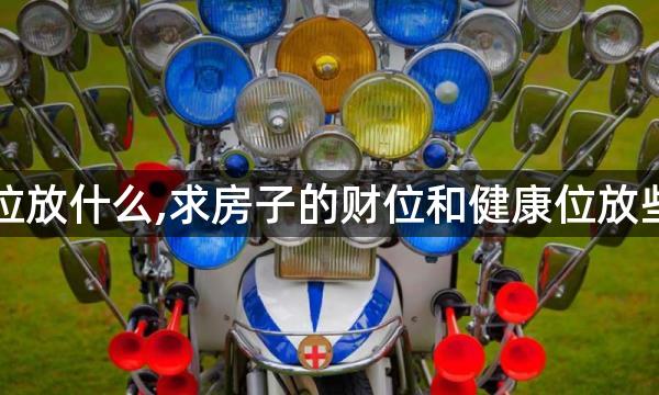 卧室里财位放什么,求房子的财位和健康位放些什么东西