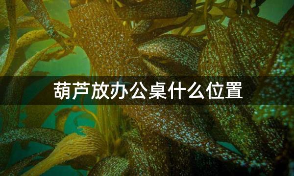 葫芦放办公桌什么位置