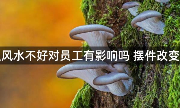 厂里风水不好对员工有影响吗 摆件改变运势